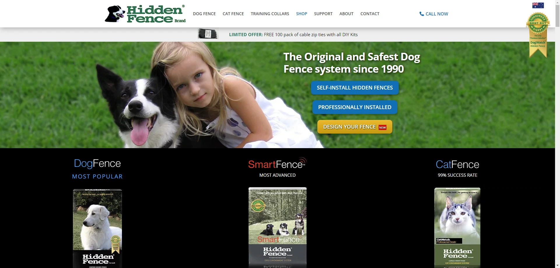 Blog Content Creation